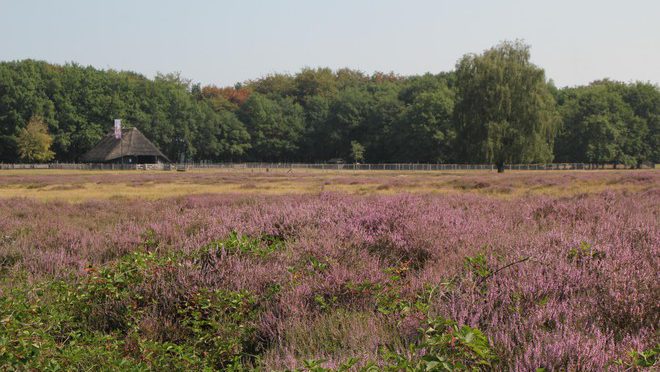 Leerzame Erfgooiersroute