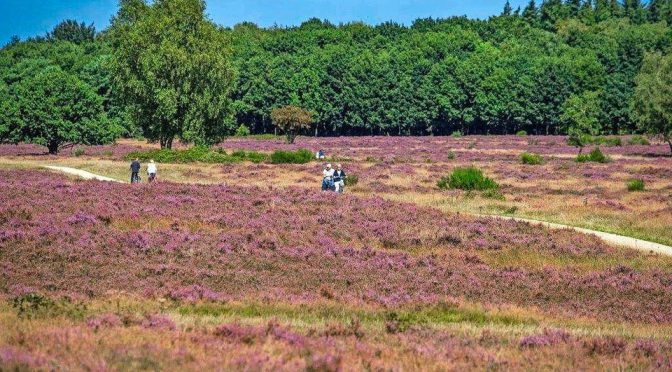 Adres aan de politiek in het Gooi en de Vechtstreek